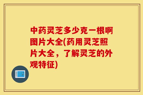 中药灵芝多少克一根啊图片大全(药用灵芝照片大全，了解灵芝的外观特征)