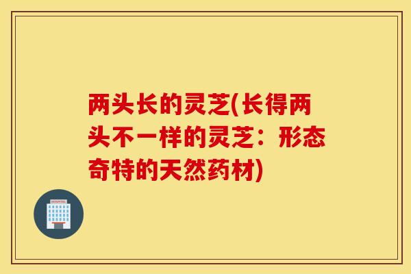 两头长的灵芝(长得两头不一样的灵芝：形态奇特的天然药材)