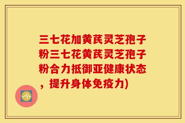 三七花加黄芪灵芝孢子粉三七花黄芪灵芝孢子粉合力抵御亚健康状态，提升身体免疫力)