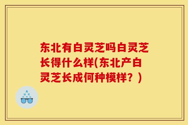 东北有白灵芝吗白灵芝长得什么样(东北产白灵芝长成何种模样？)