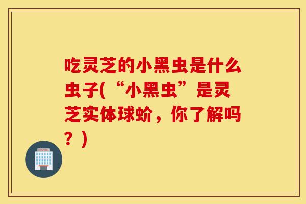 吃灵芝的小黑虫是什么虫子(“小黑虫”是灵芝实体球蚧，你了解吗？)