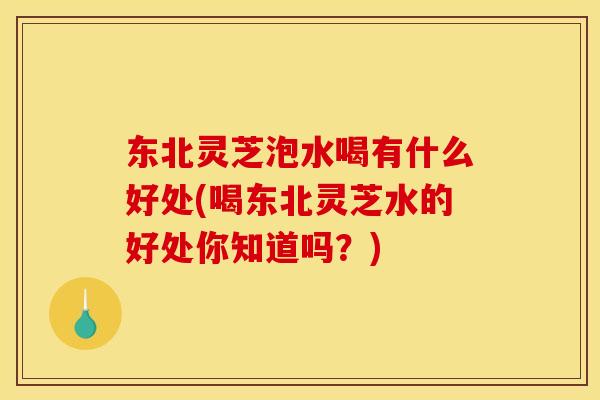 东北灵芝泡水喝有什么好处(喝东北灵芝水的好处你知道吗？)