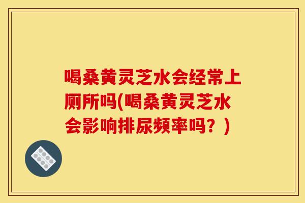 喝桑黄灵芝水会经常上厕所吗(喝桑黄灵芝水会影响排尿频率吗？)