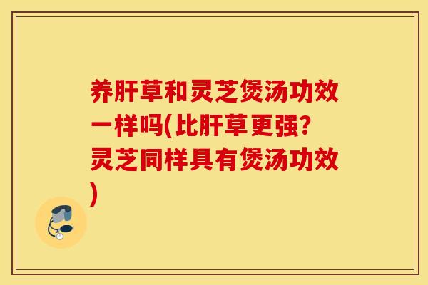 养肝草和灵芝煲汤功效一样吗(比肝草更强？灵芝同样具有煲汤功效)