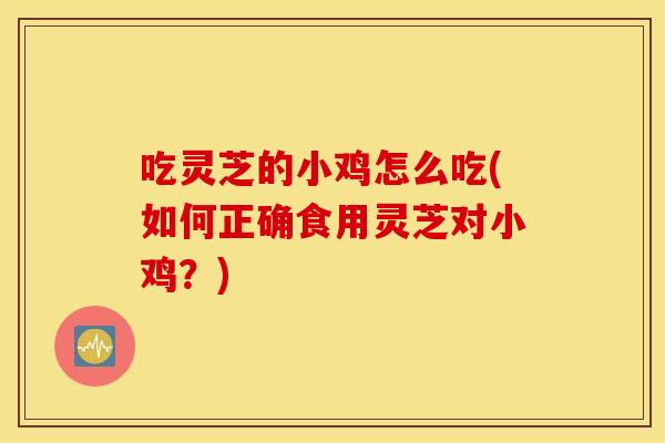 吃灵芝的小鸡怎么吃(如何正确食用灵芝对小鸡？)