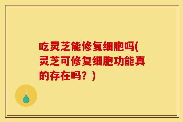 吃灵芝能修复细胞吗(灵芝可修复细胞功能真的存在吗？)