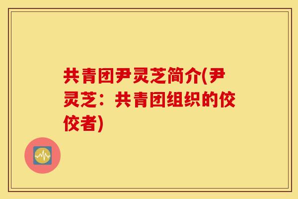 共青团尹灵芝简介(尹灵芝：共青团组织的佼佼者)