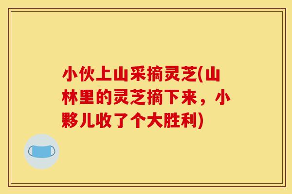 小伙上山采摘灵芝(山林里的灵芝摘下来，小夥儿收了个大胜利)