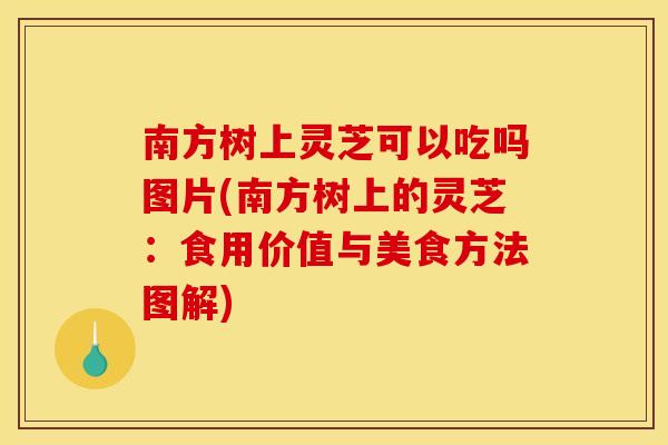 南方树上灵芝可以吃吗图片(南方树上的灵芝：食用价值与美食方法图解)