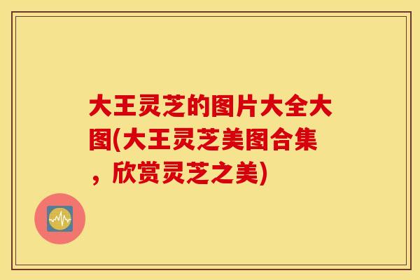 大王灵芝的图片大全大图(大王灵芝美图合集，欣赏灵芝之美)