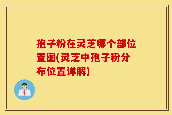 孢子粉在灵芝哪个部位置图(灵芝中孢子粉分布位置详解)
