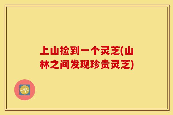 上山捡到一个灵芝(山林之间发现珍贵灵芝)