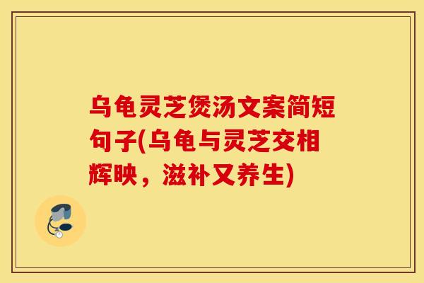 乌龟灵芝煲汤文案简短句子(乌龟与灵芝交相辉映，滋补又养生)