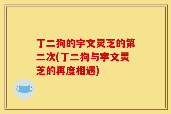 丁二狗的宇文灵芝的第二次(丁二狗与宇文灵芝的再度相遇)