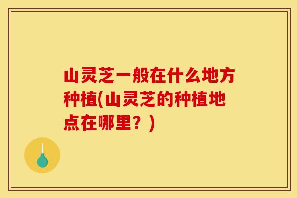 山灵芝一般在什么地方种植(山灵芝的种植地点在哪里？)