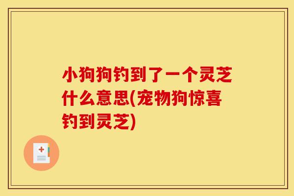 小狗狗钓到了一个灵芝什么意思(宠物狗惊喜钓到灵芝)