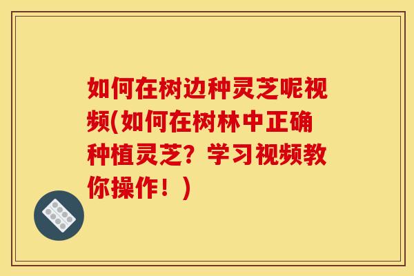 如何在树边种灵芝呢视频(如何在树林中正确种植灵芝？学习视频教你操作！)