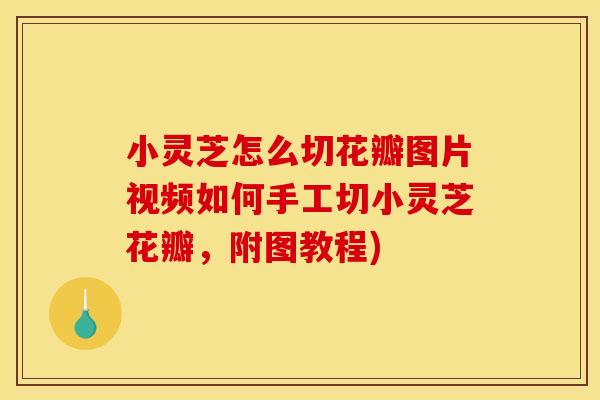 小灵芝怎么切花瓣图片视频如何手工切小灵芝花瓣，附图教程)