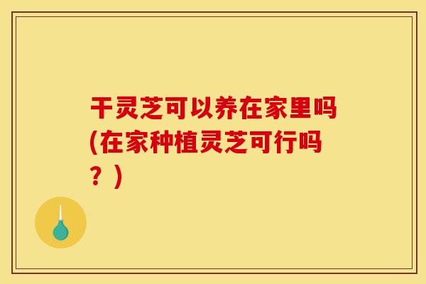 干灵芝可以养在家里吗(在家种植灵芝可行吗？)