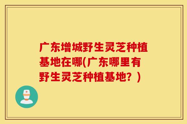 广东增城野生灵芝种植基地在哪(广东哪里有野生灵芝种植基地？)