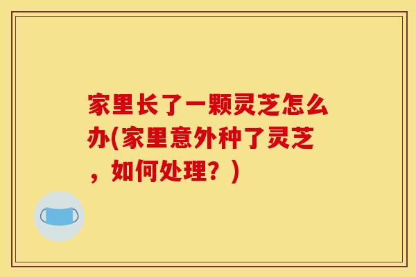 家里长了一颗灵芝怎么办(家里意外种了灵芝，如何处理？)