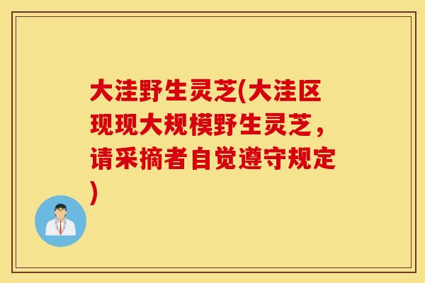大洼野生灵芝(大洼区现现大规模野生灵芝，请采摘者自觉遵守规定)