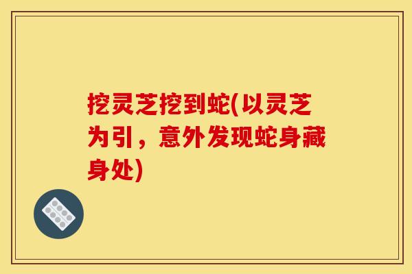 挖灵芝挖到蛇(以灵芝为引，意外发现蛇身藏身处)