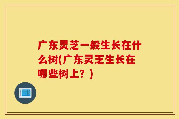 广东灵芝一般生长在什么树(广东灵芝生长在哪些树上？)