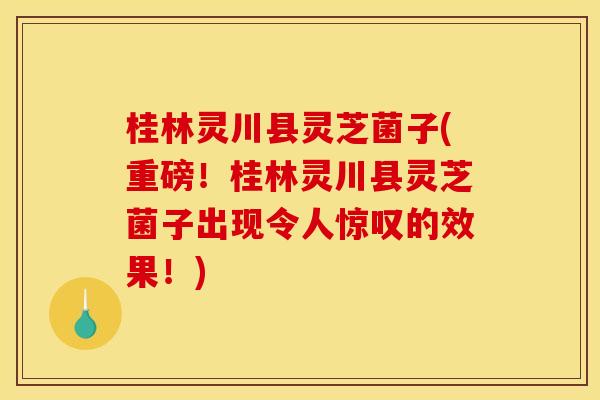 桂林灵川县灵芝菌子(重磅！桂林灵川县灵芝菌子出现令人惊叹的效果！)