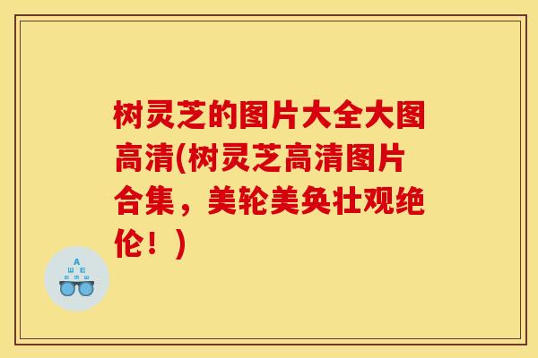 树灵芝的图片大全大图高清(树灵芝高清图片合集，美轮美奂壮观绝伦！)