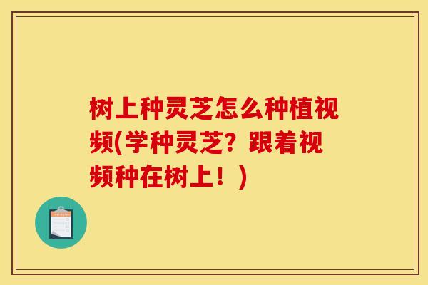 树上种灵芝怎么种植视频(学种灵芝？跟着视频种在树上！)