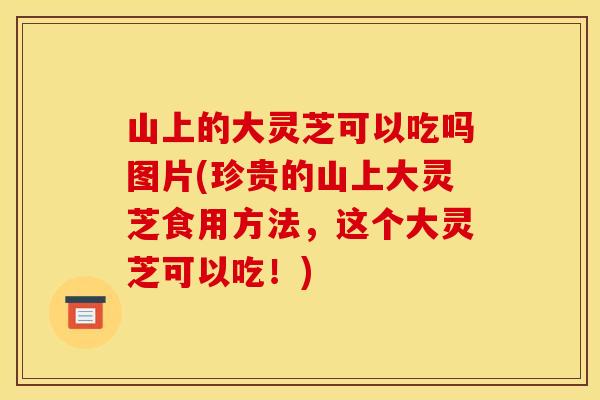 山上的大灵芝可以吃吗图片(珍贵的山上大灵芝食用方法，这个大灵芝可以吃！)