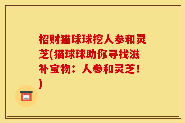 招财猫球球挖人参和灵芝(猫球球助你寻找滋补宝物：人参和灵芝！)