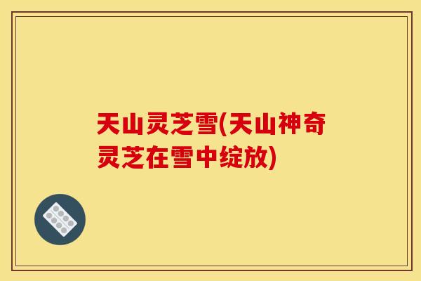 天山灵芝雪(天山神奇灵芝在雪中绽放)