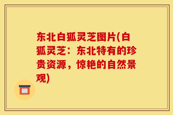 东北白狐灵芝图片(白狐灵芝：东北特有的珍贵资源，惊艳的自然景观)