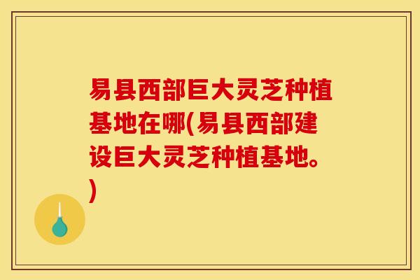易县西部巨大灵芝种植基地在哪(易县西部建设巨大灵芝种植基地。)