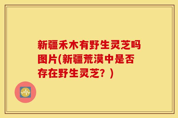 新疆禾木有野生灵芝吗图片(新疆荒漠中是否存在野生灵芝？)