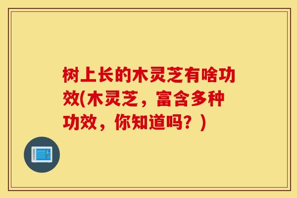 树上长的木灵芝有啥功效(木灵芝，富含多种功效，你知道吗？)