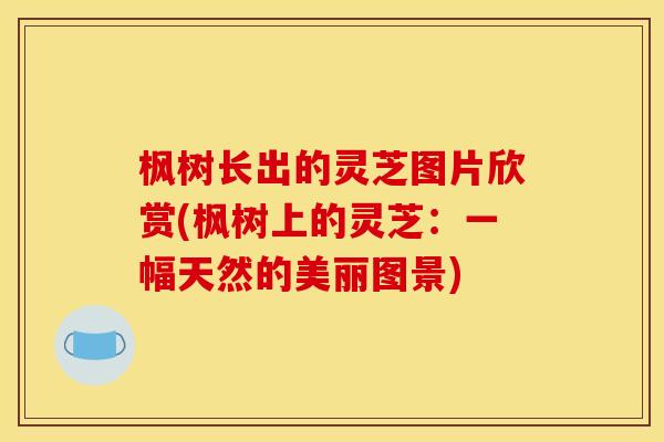 枫树长出的灵芝图片欣赏(枫树上的灵芝：一幅天然的美丽图景)