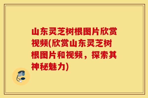 山东灵芝树根图片欣赏视频(欣赏山东灵芝树根图片和视频，探索其神秘魅力)