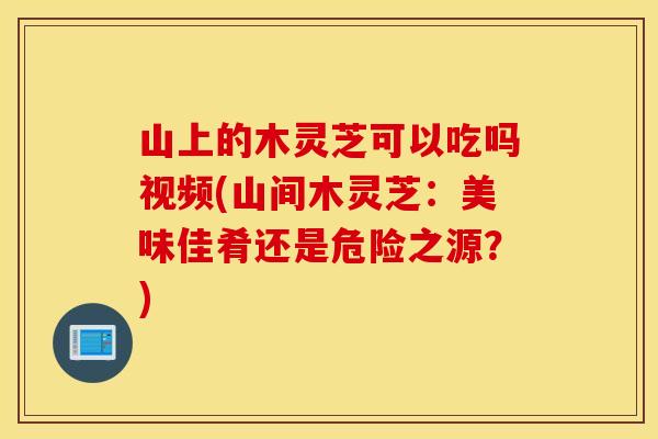 山上的木灵芝可以吃吗视频(山间木灵芝：美味佳肴还是危险之源？)
