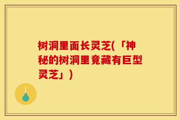 树洞里面长灵芝(「神秘的树洞里竟藏有巨型灵芝」)