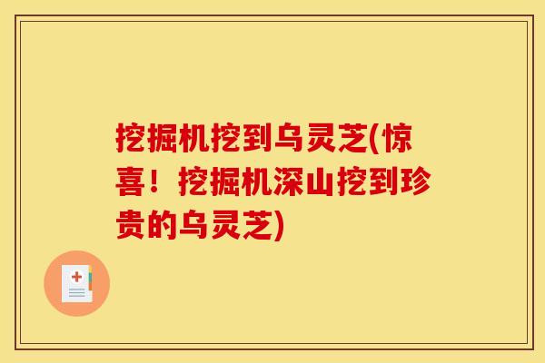 挖掘机挖到乌灵芝(惊喜！挖掘机深山挖到珍贵的乌灵芝)