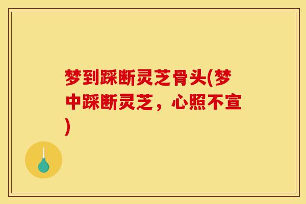 梦到踩断灵芝骨头(梦中踩断灵芝，心照不宣)