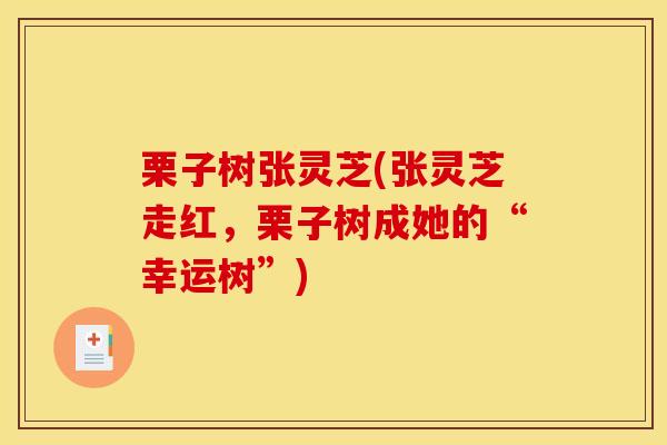 栗子树张灵芝(张灵芝走红，栗子树成她的“幸运树”)