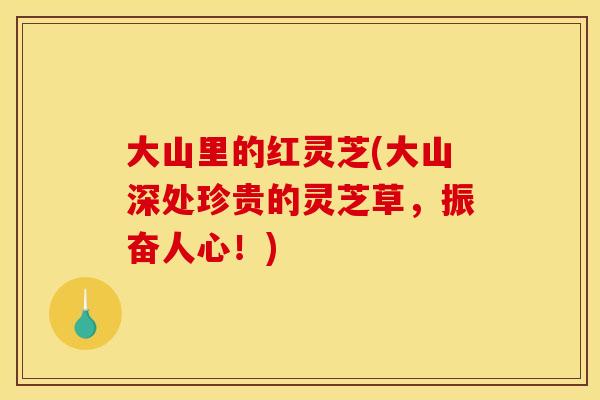 大山里的红灵芝(大山深处珍贵的灵芝草，振奋人心！)