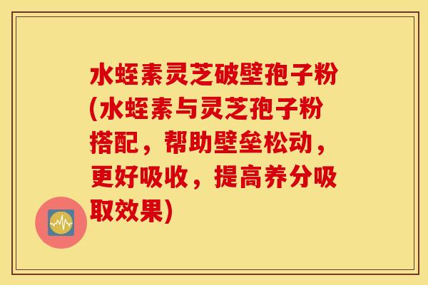 水蛭素灵芝破壁孢子粉(水蛭素与灵芝孢子粉搭配，帮助壁垒松动，更好吸收，提高养分吸取效果)