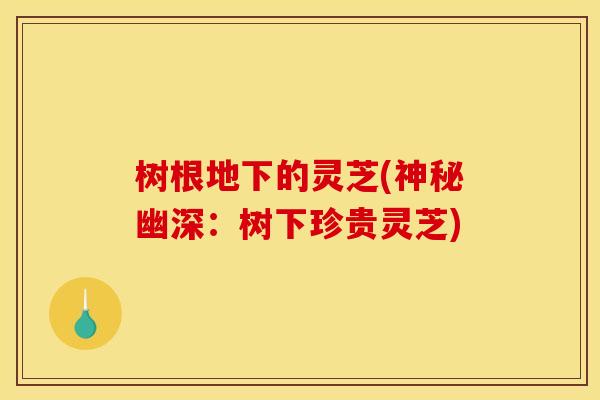 树根地下的灵芝(神秘幽深：树下珍贵灵芝)