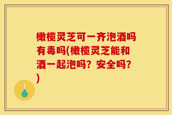 橄榄灵芝可一齐泡酒吗有毒吗(橄榄灵芝能和酒一起泡吗？安全吗？)