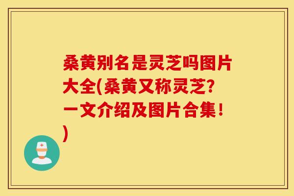 桑黄别名是灵芝吗图片大全(桑黄又称灵芝？一文介绍及图片合集！)